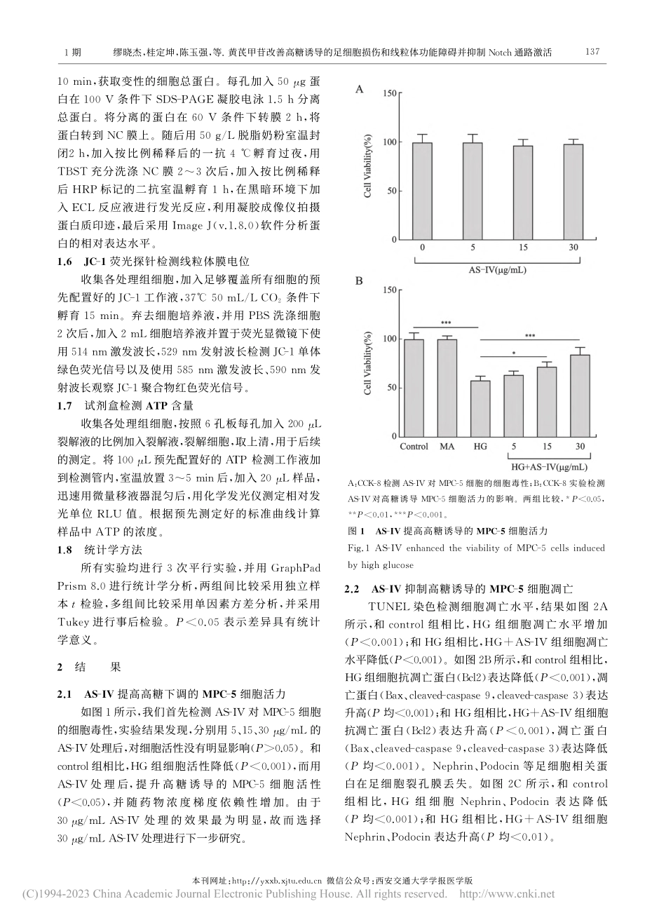 黄芪甲苷改善高糖诱导的足细...碍并抑制Notch通路激活_缪晓杰.pdf_第3页