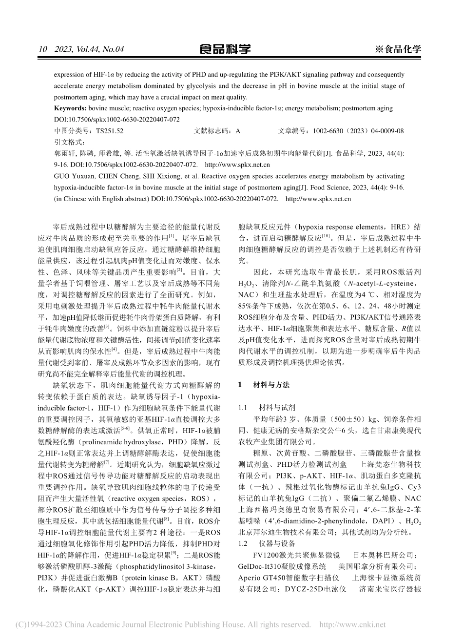 活性氧激活缺氧诱导因子-1...速宰后成熟初期牛肉能量代谢_郭雨轩.pdf_第2页