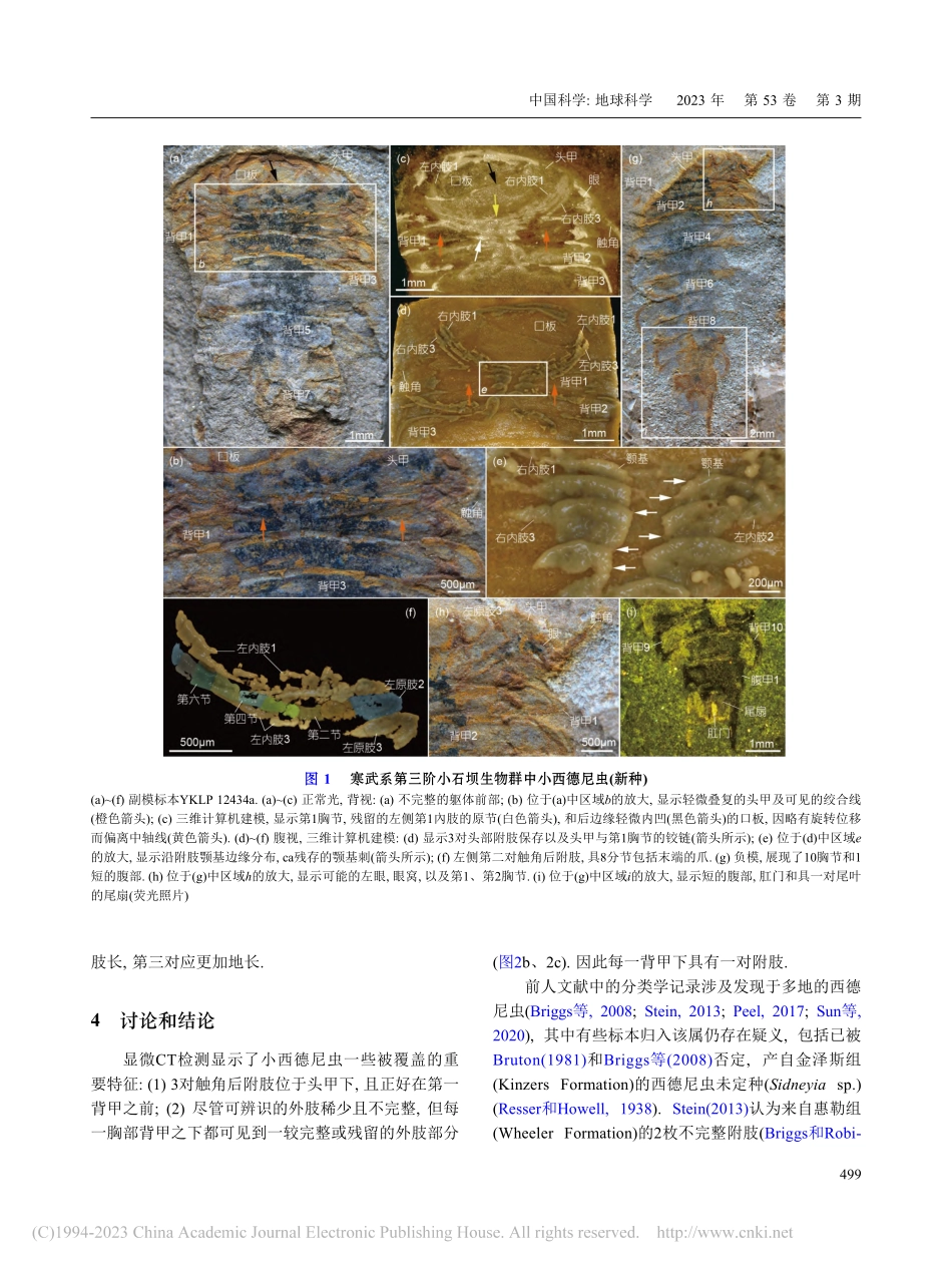 寒武纪早期节肢动物西德尼虫...争议百年的头部结构得到澄清_杜坤省.pdf_第3页