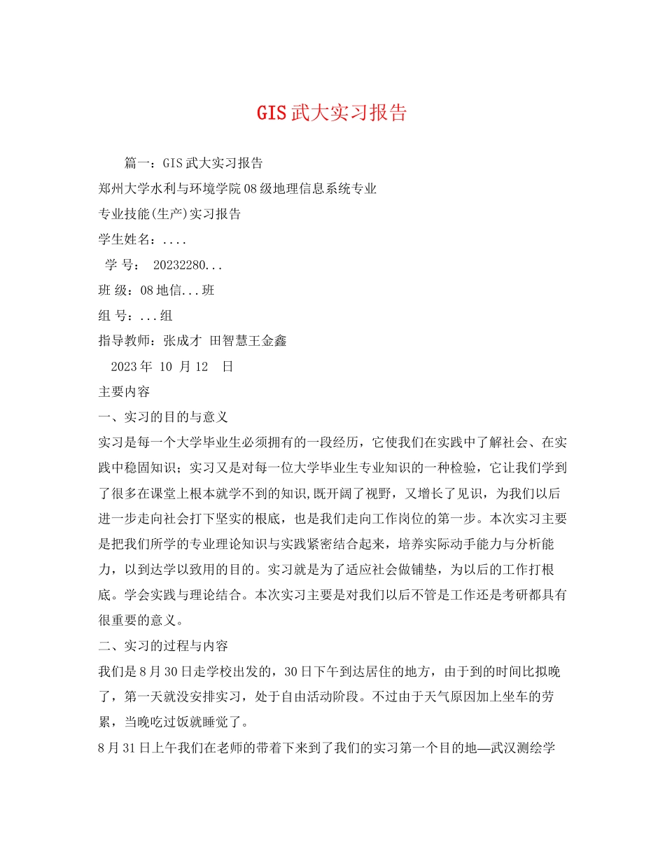 2023年GIS武大实习报告2.docx_第1页