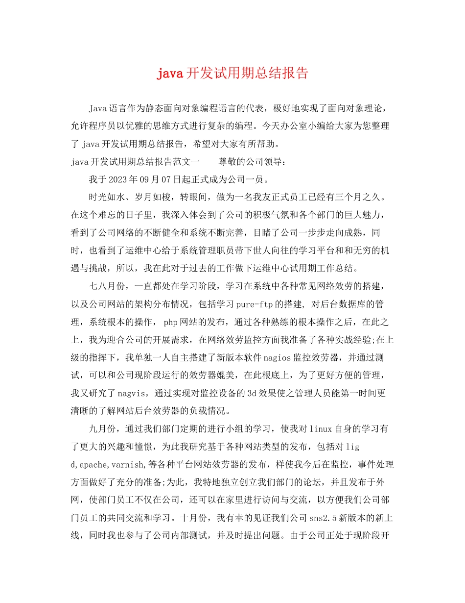 2023年java开发试用期总结报告.docx_第1页