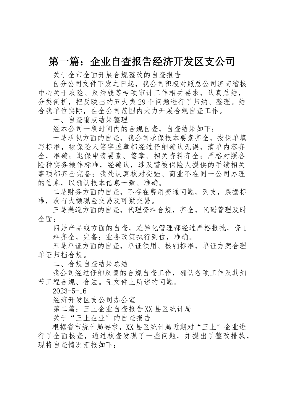 2023年xx企业自查报告经济开发区支公司新编.docx_第1页