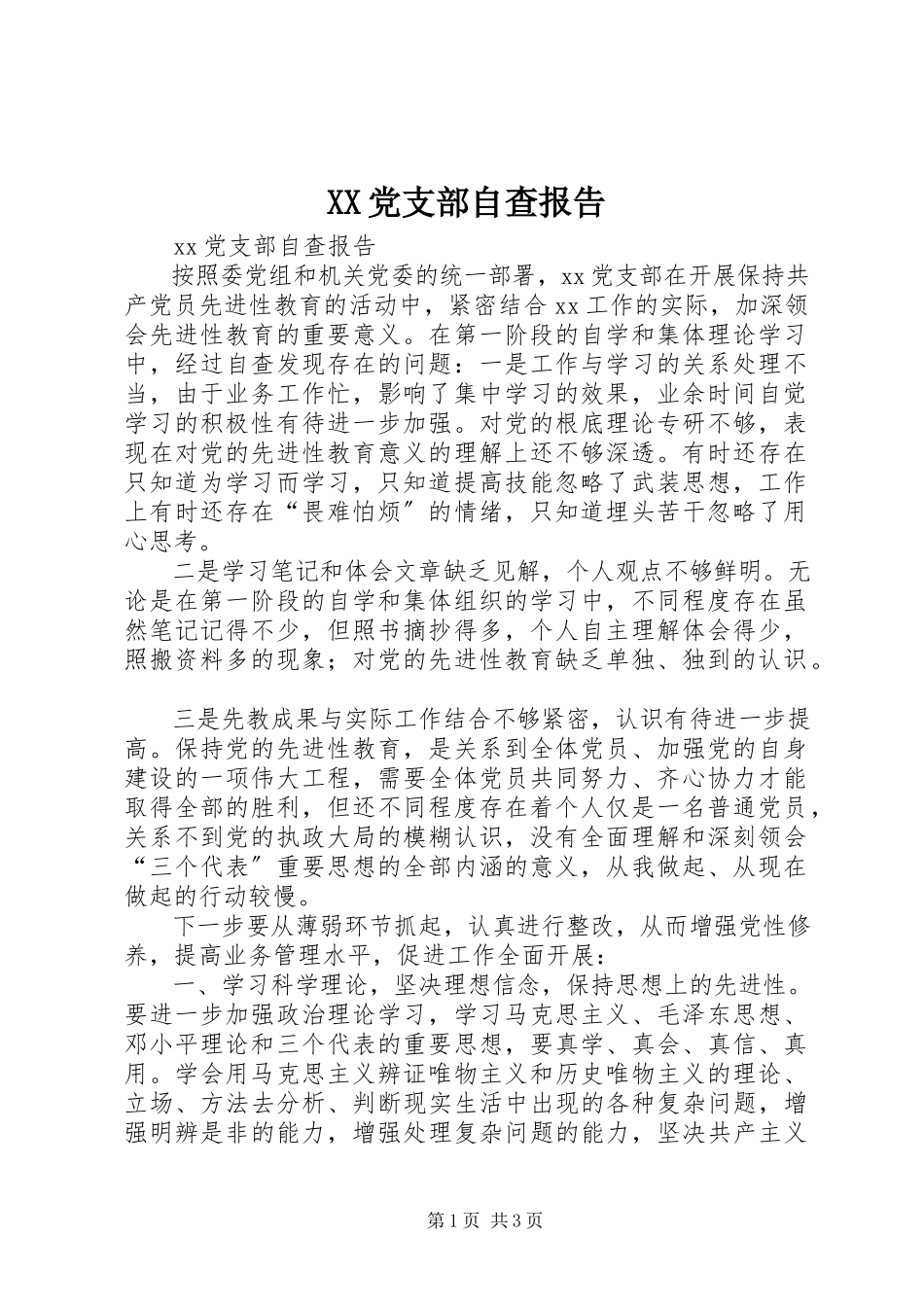2023年XX党支部自查报告.docx_第1页