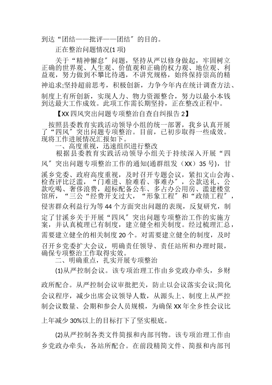 2023年XX四风突出问题专项整治自查自纠报告.doc_第3页