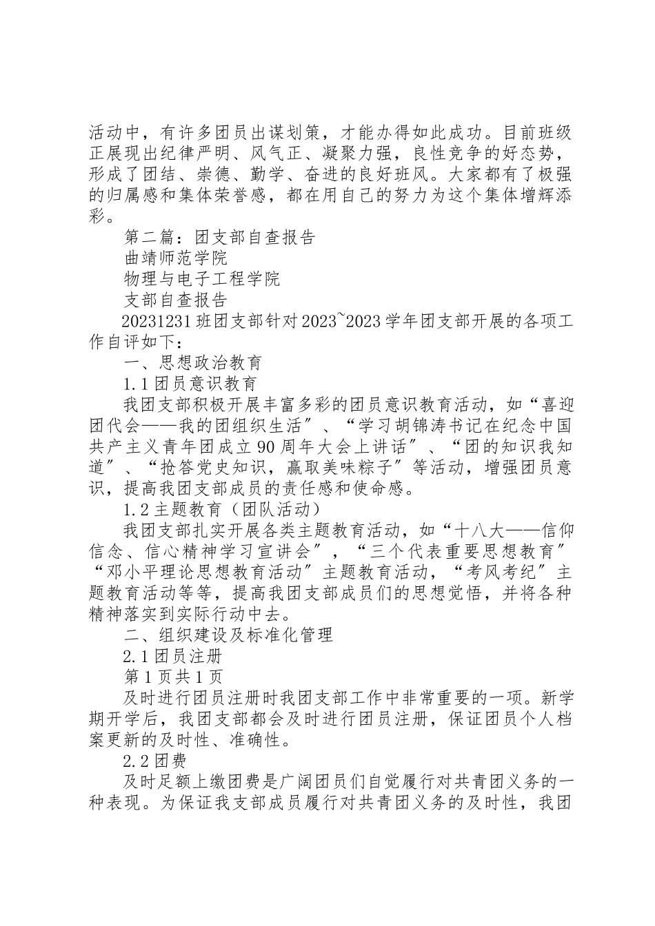 2023年xx团支部自查报告新编.docx_第2页