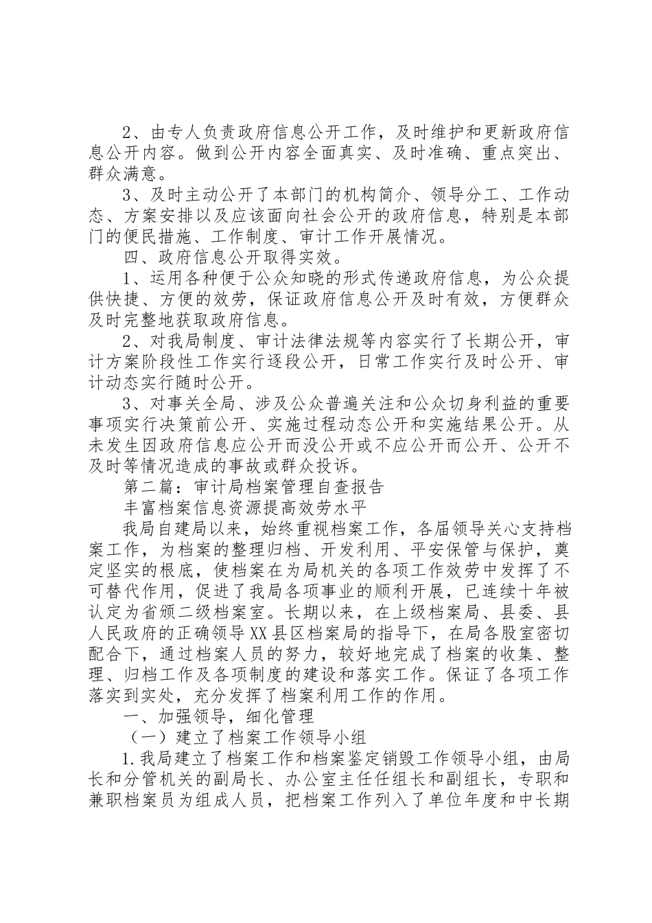 2023年xx审计局自查报告新编.docx_第2页