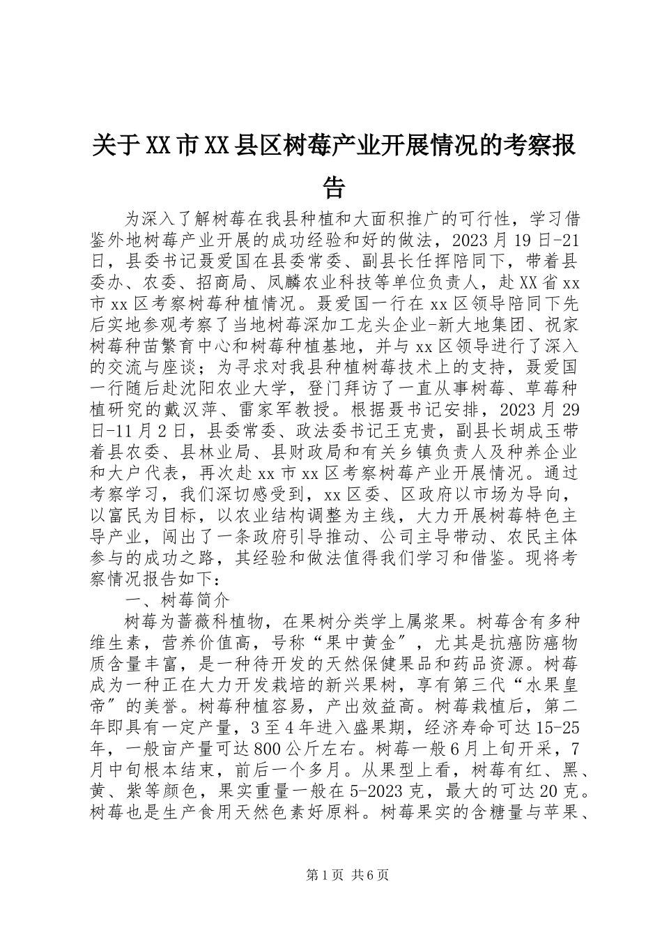 2023年XX市XX县区树莓产业发展情况的考察报告.docx_第1页