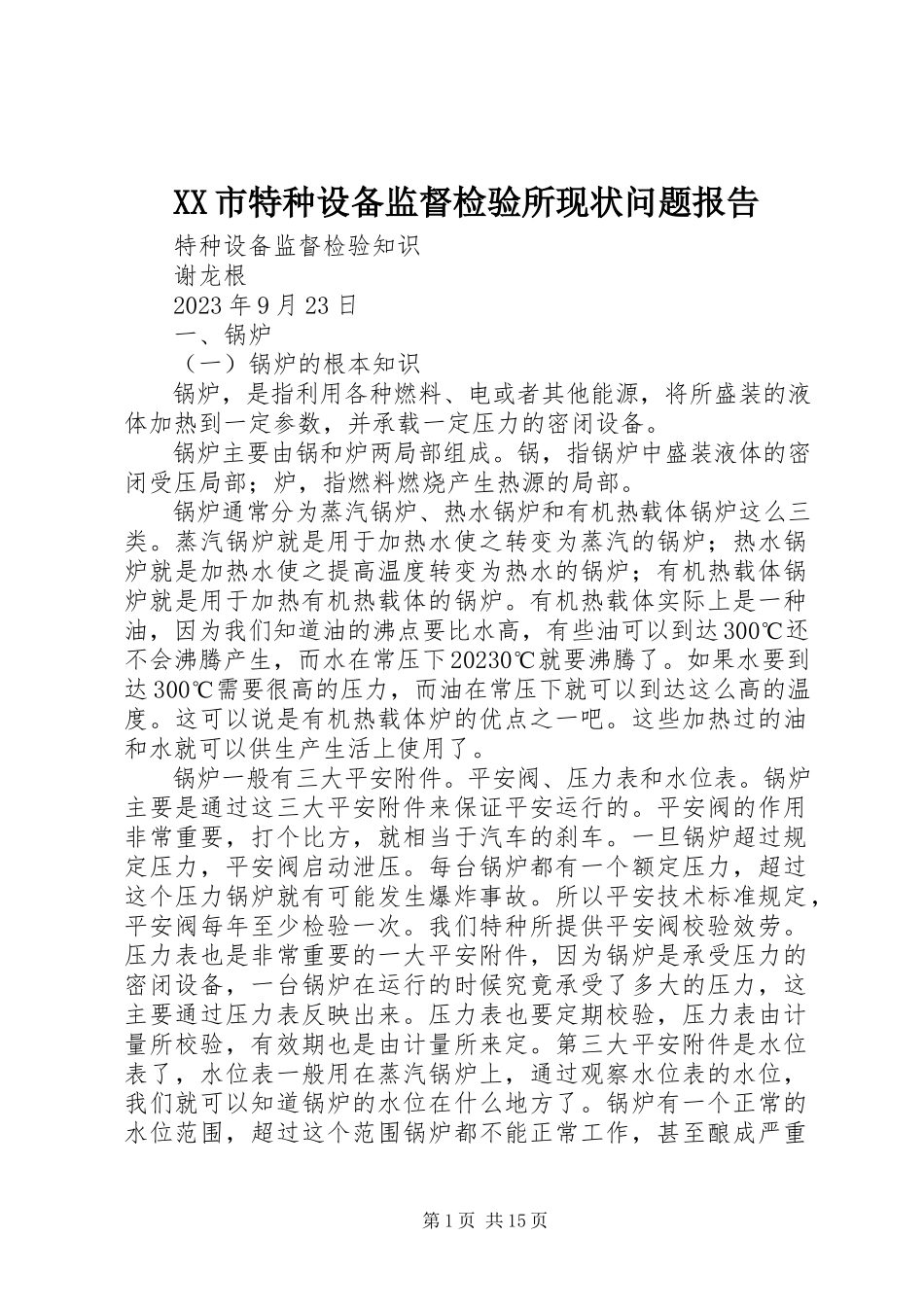 2023年XX市特种设备监督检验所现状问题报告新编.docx_第1页