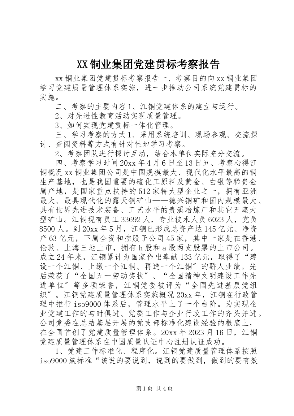 2023年XX铜业集团党建贯标考察报告新编.docx_第1页