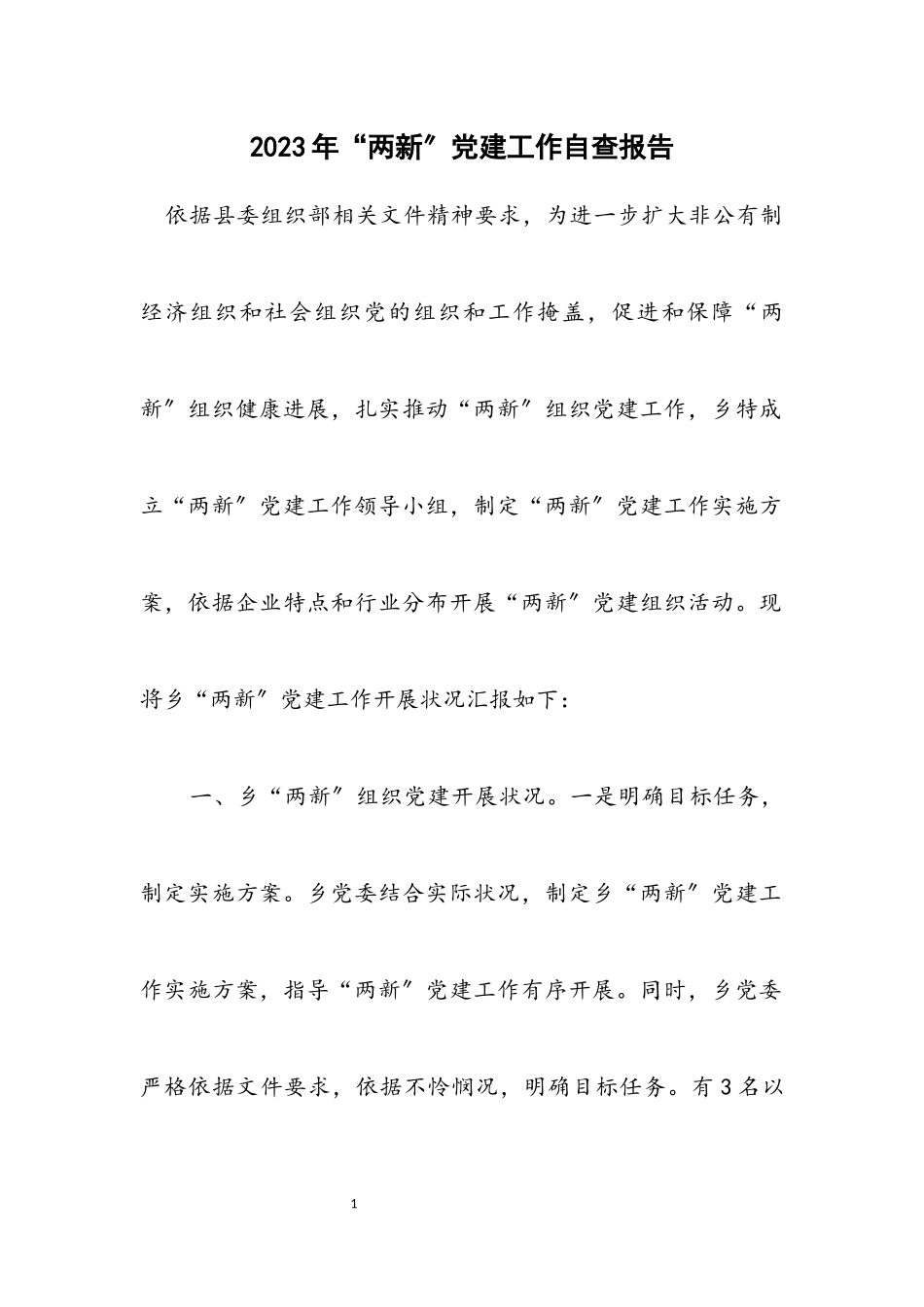 2023年“两新”党建工作自查报告.docx_第1页