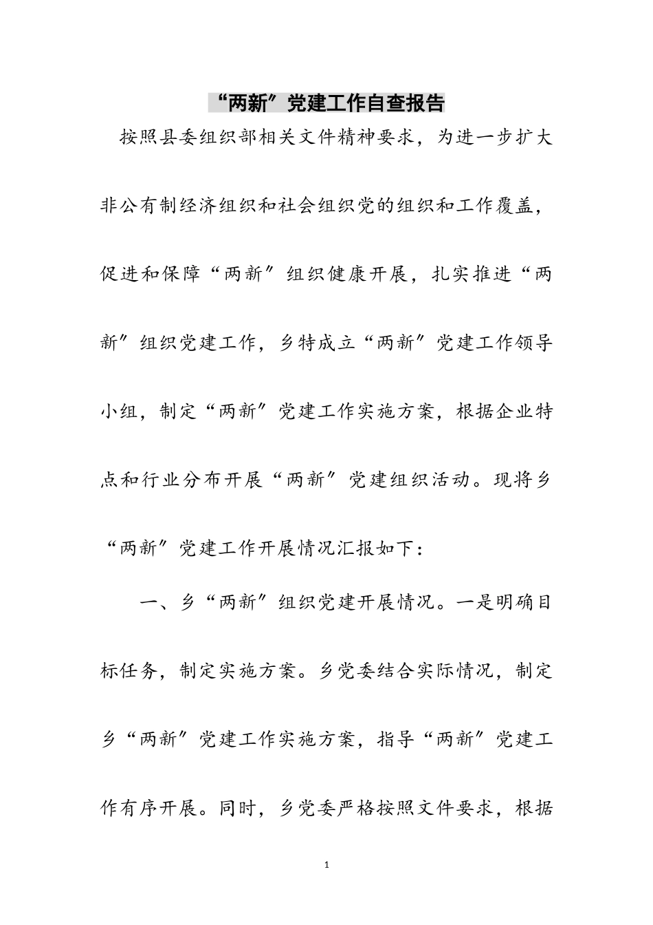 2023年“两新”党建工作自查报告范文.doc_第1页