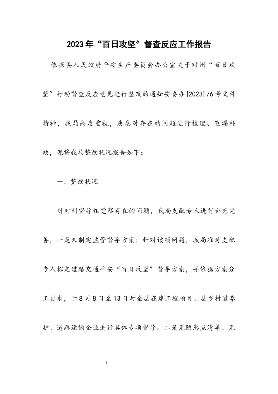 2023年“百日攻坚”督查反馈工作报告.docx_第1页