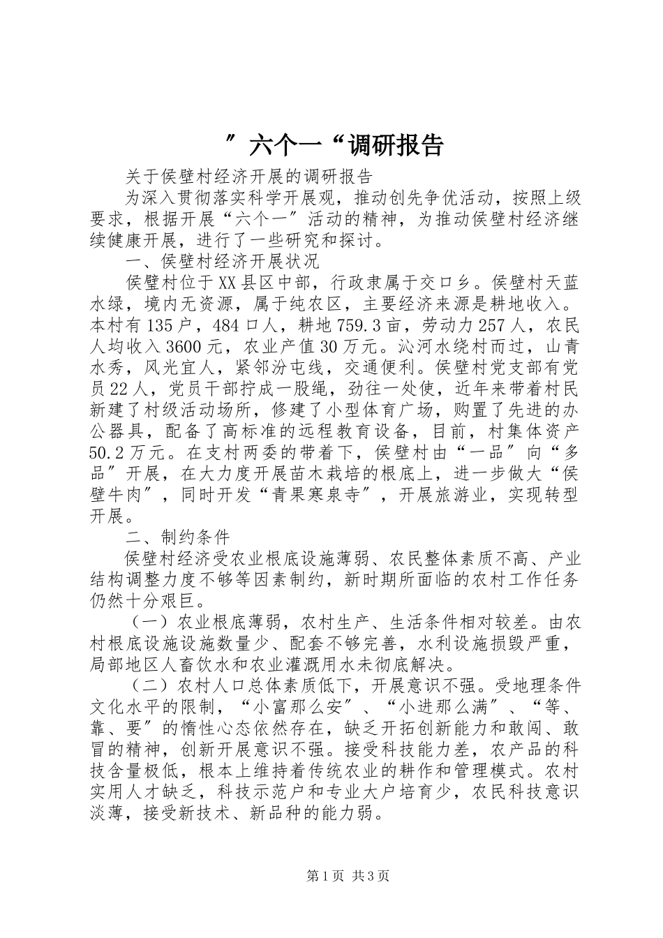 2023年”六个一“调研报告.docx_第1页