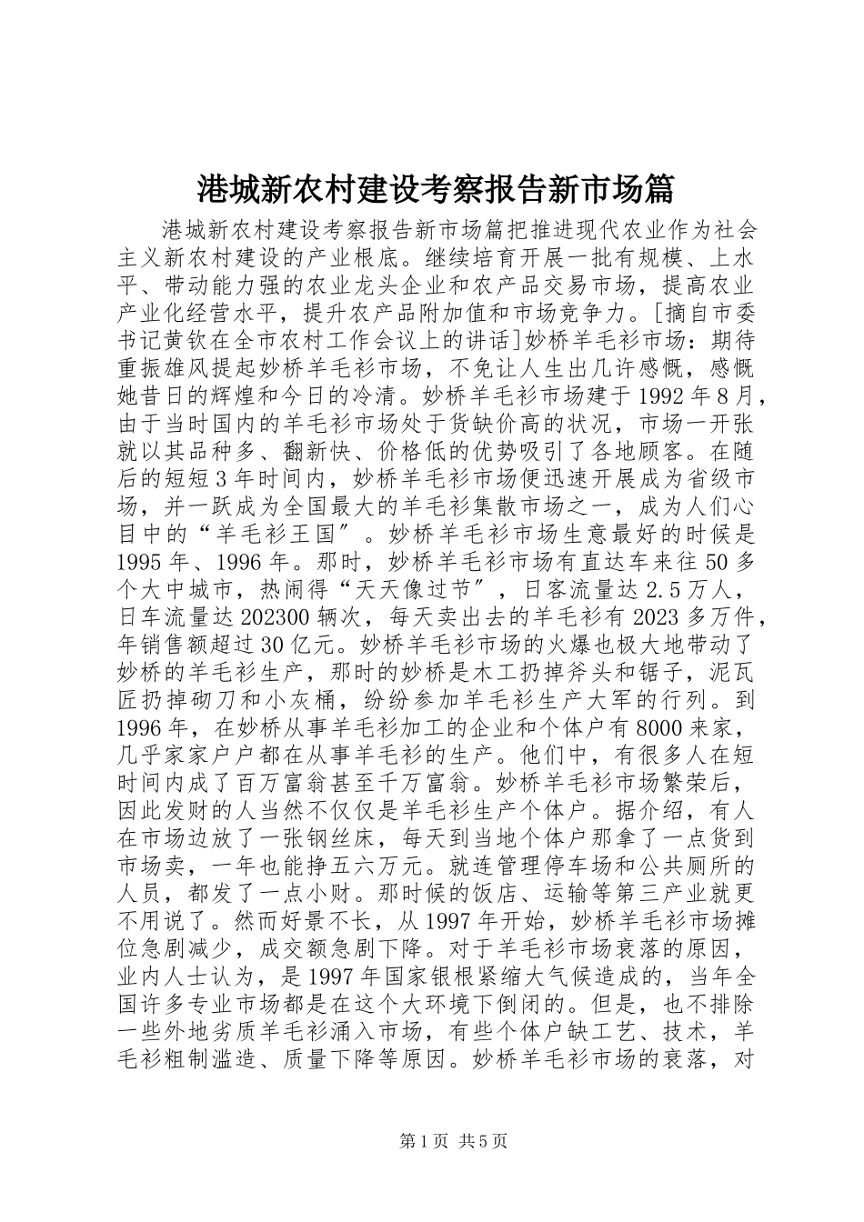 2023年港城新农村建设考察报告新市场篇.docx_第1页