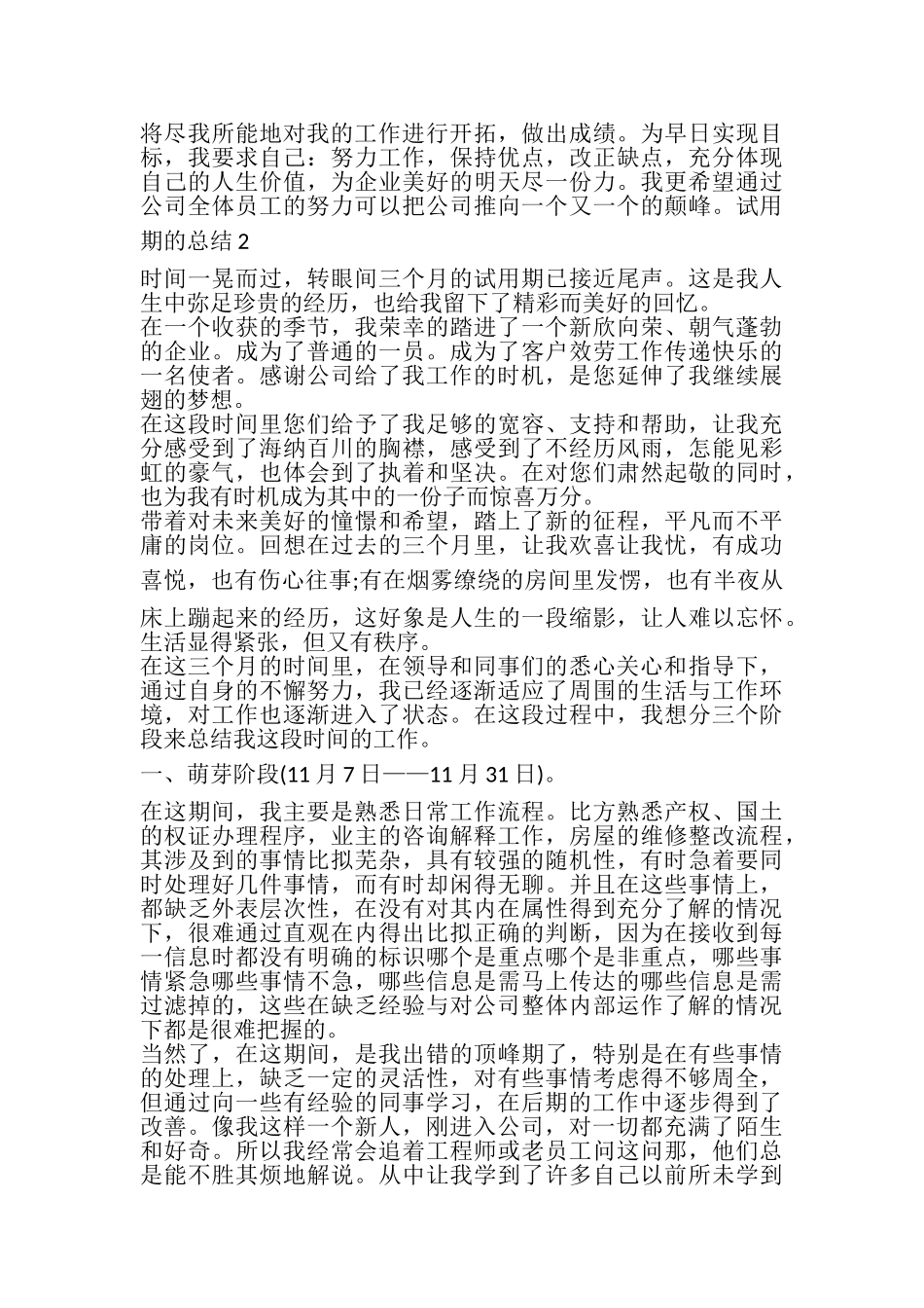 2023年试用期的年终个人总结报告.doc_第3页