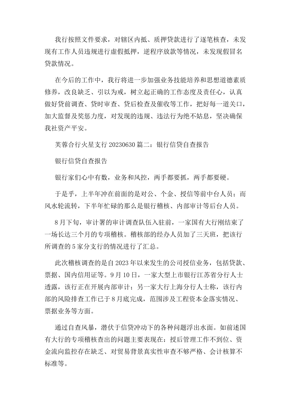 2023年支行信贷自查报告.docx_第2页