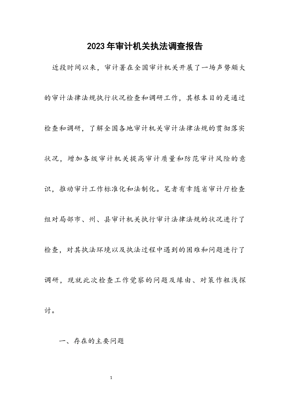 2023年审计机关执法调查报告.docx_第1页