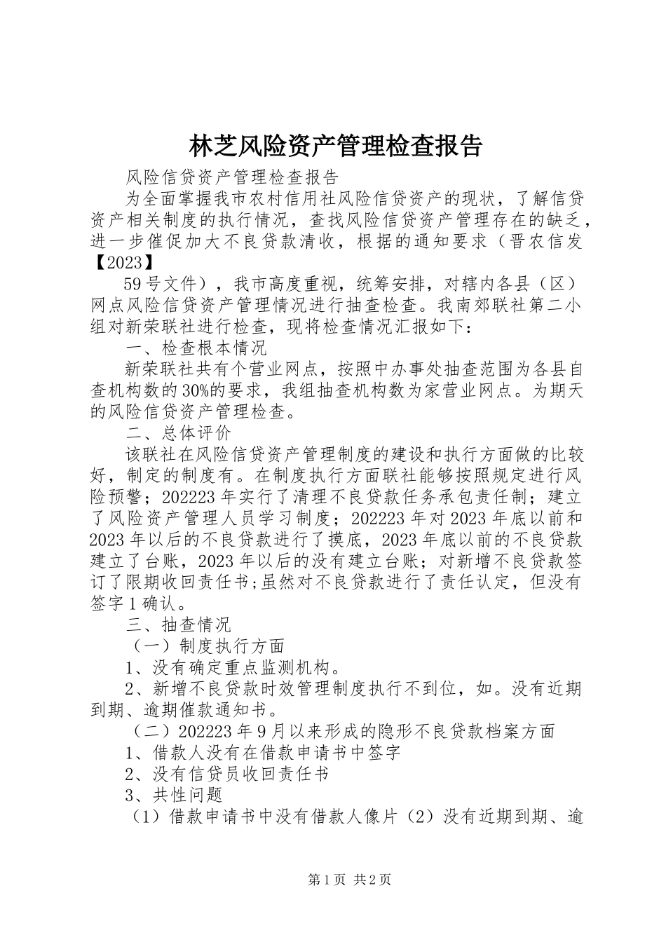 2023年林芝风险资产管理检查报告.docx_第1页