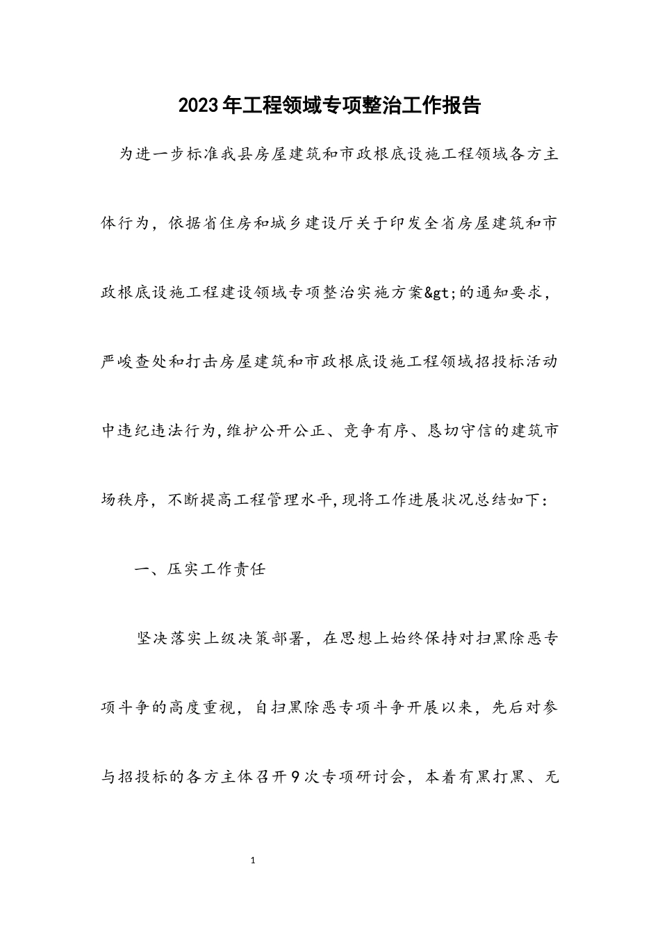 2023年工程领域专项整治工作报告.docx_第1页