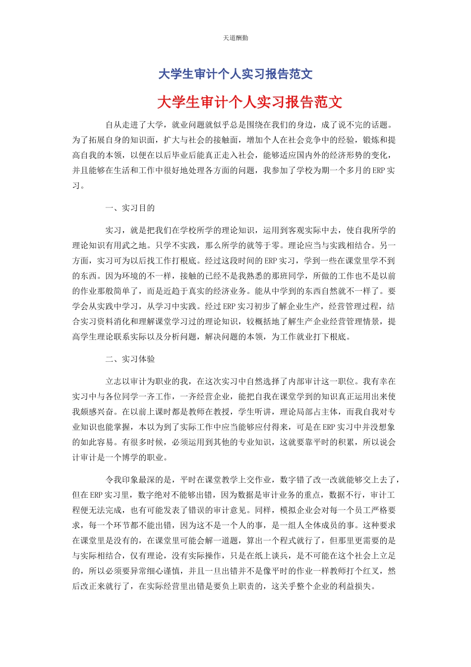 2023年大学生审计个人实习报告.docx_第1页