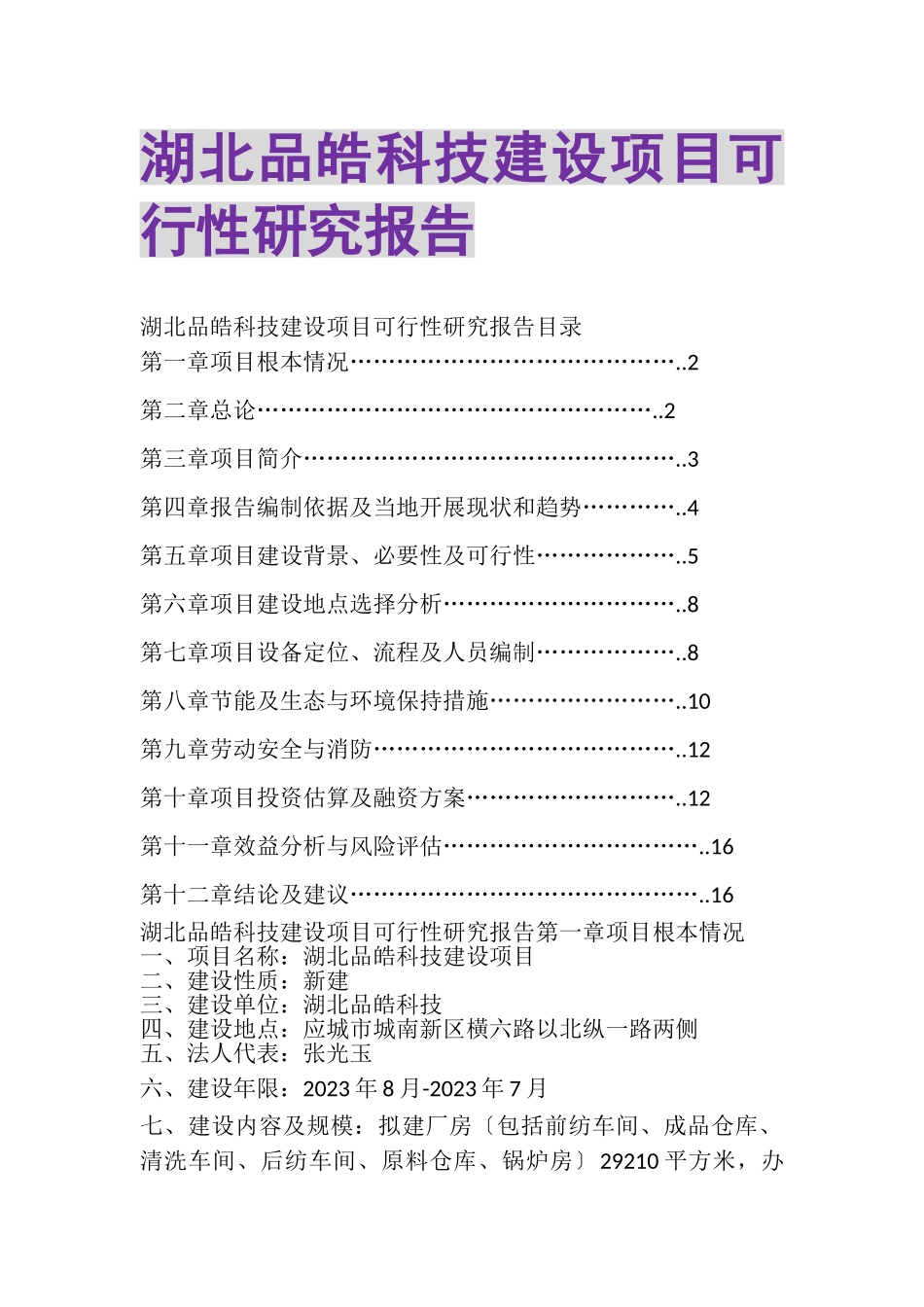 2023年湖北品皓科技建设项目可行性研究报告.doc_第1页