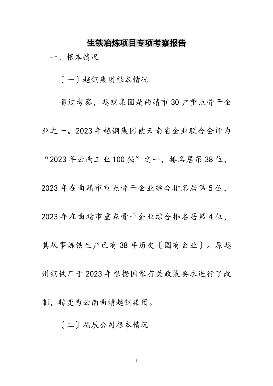 2023年生铁冶炼项目专项考察报告范文.doc_第1页