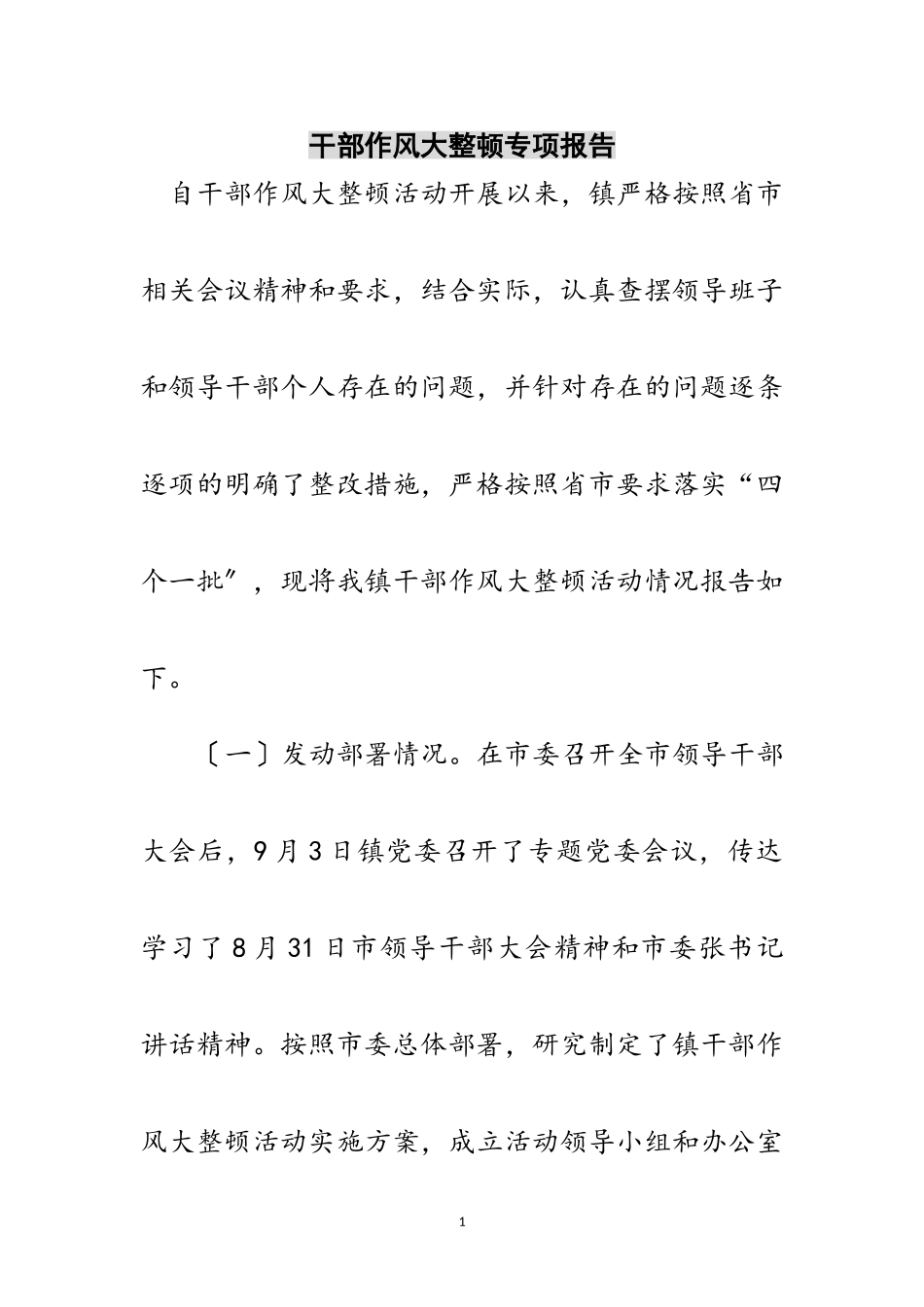 2023年干部作风大整顿专项报告范文.doc_第1页