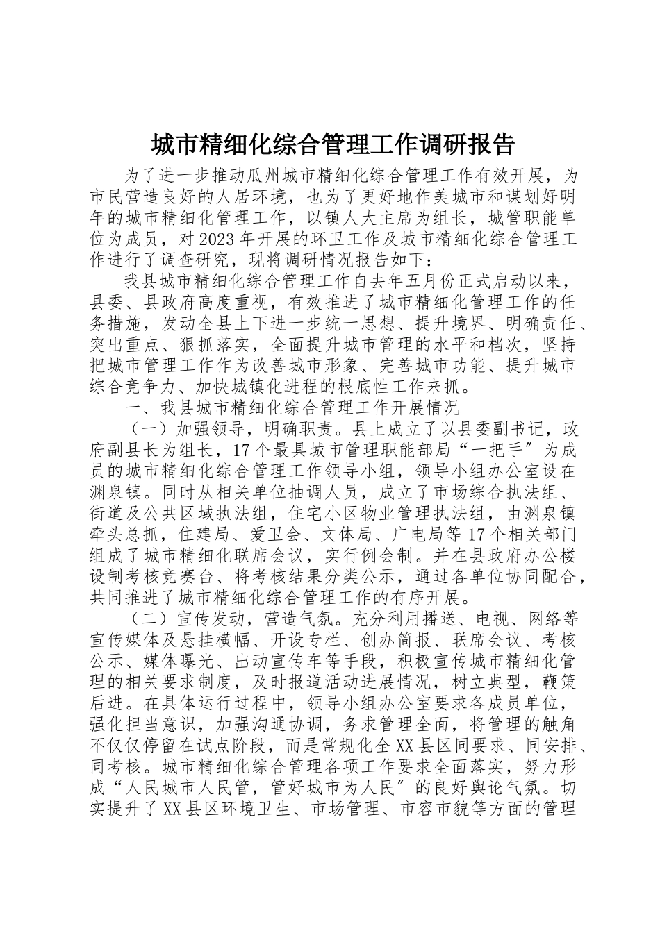 2023年城市精细化综合管理工作调研报告.docx_第1页
