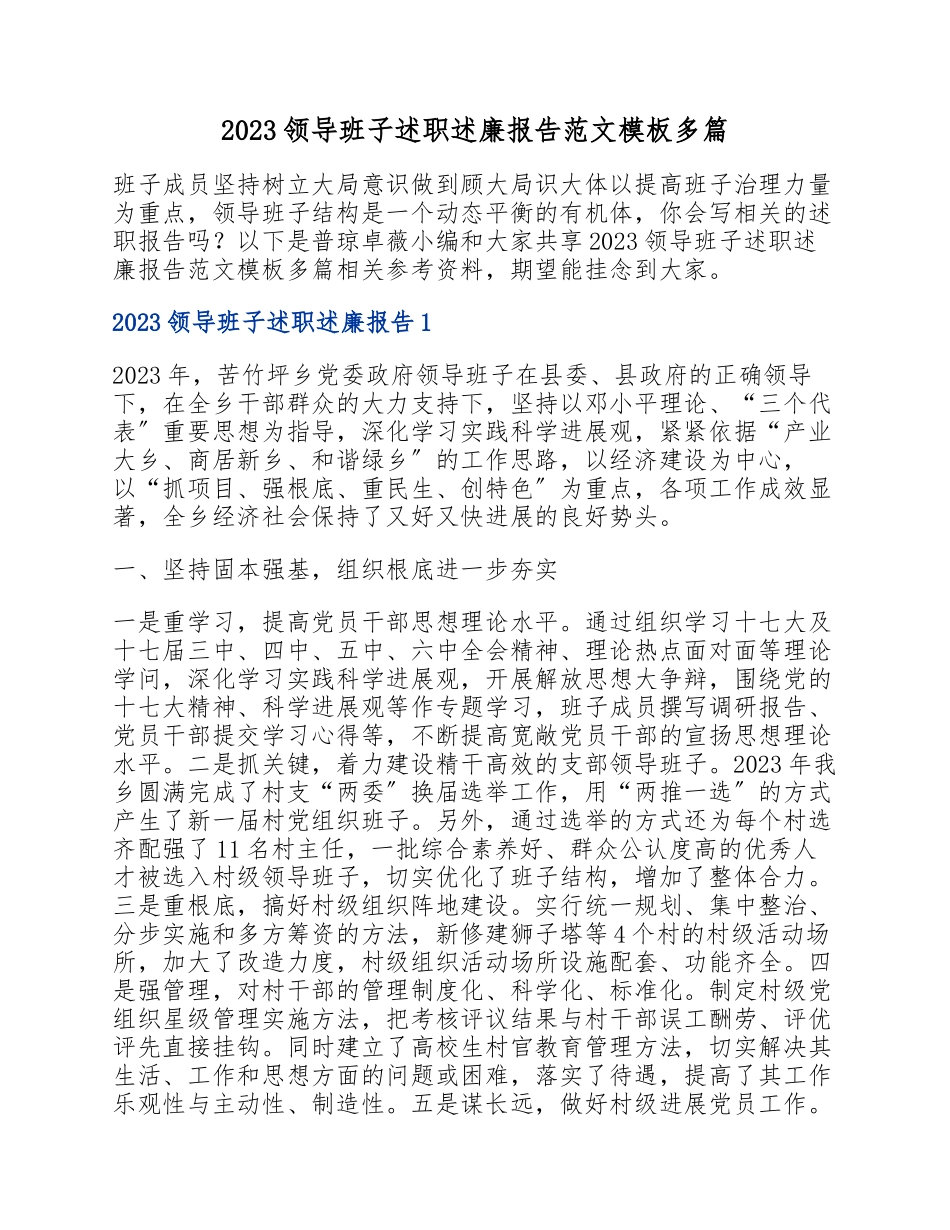 2023领导班子述职述廉报告模板.docx_第1页