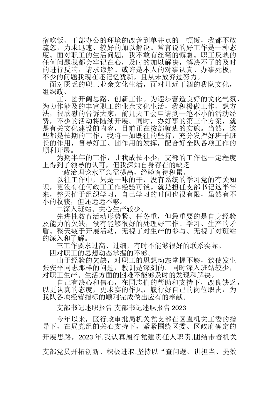 2023年支部书记述职报告支部书记述职报告WORD版.doc_第3页