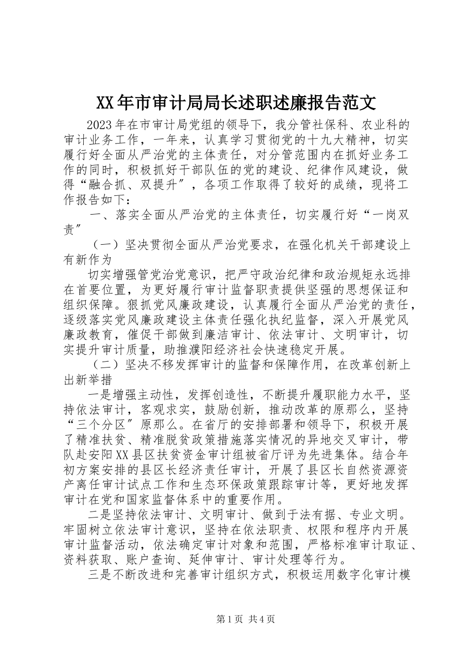 2023年市审计局局长述职述廉报告.docx_第1页