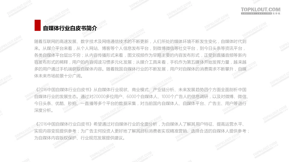 中国自媒体行业白皮书.pdf_第2页
