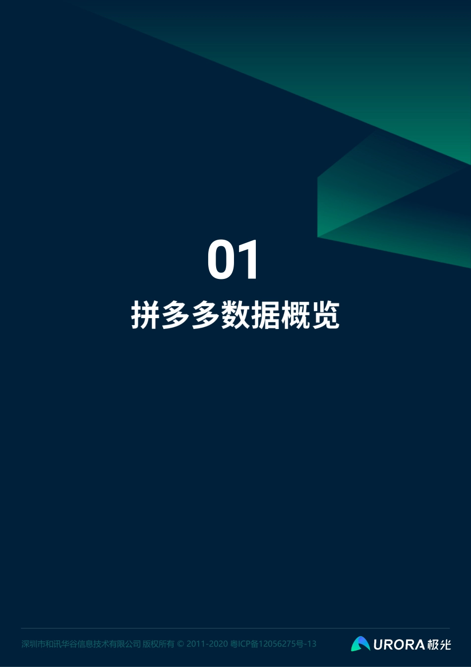 电商新贵裂变先锋—拼多多数据全面解析报告-极光-202007.pdf_第3页