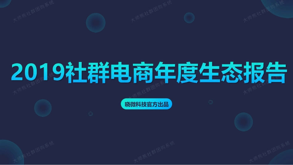 晓微科技-2019中国社群电商年度报告-2020.3-90页.pdf_第1页