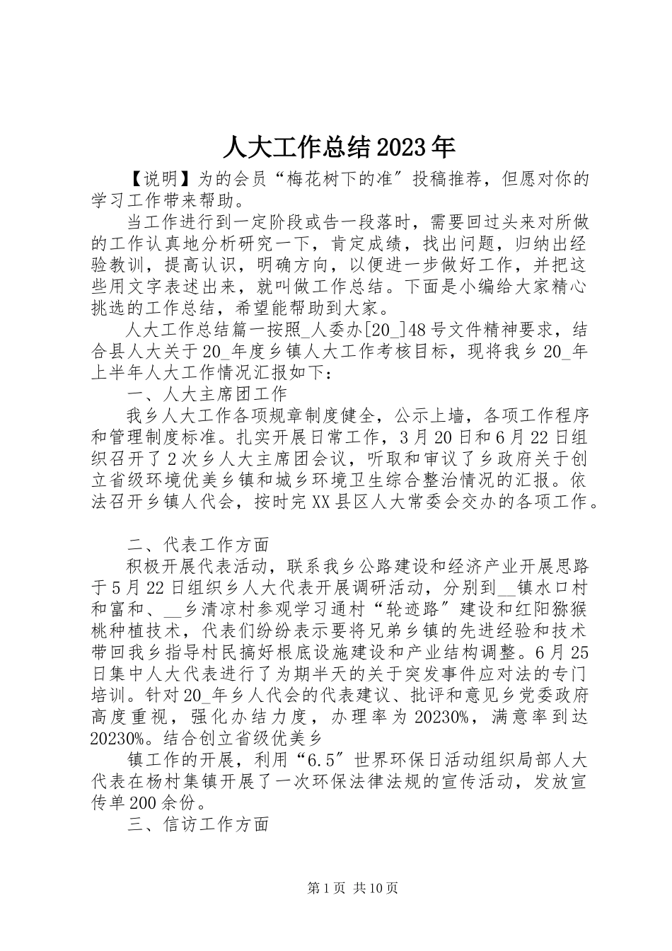 2023年人大工作总结.docx_第1页
