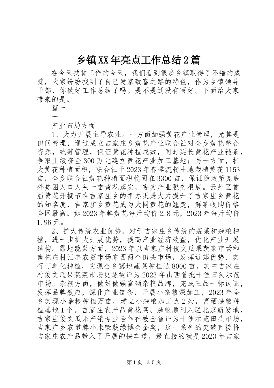 2023年乡镇亮点工作总结2篇.docx_第1页