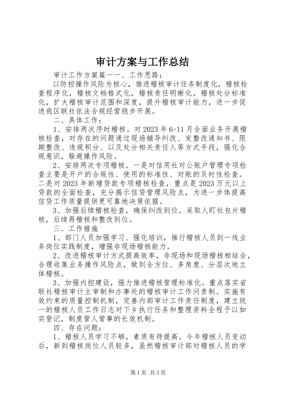 2023年审计计划与工作总结.docx_第1页
