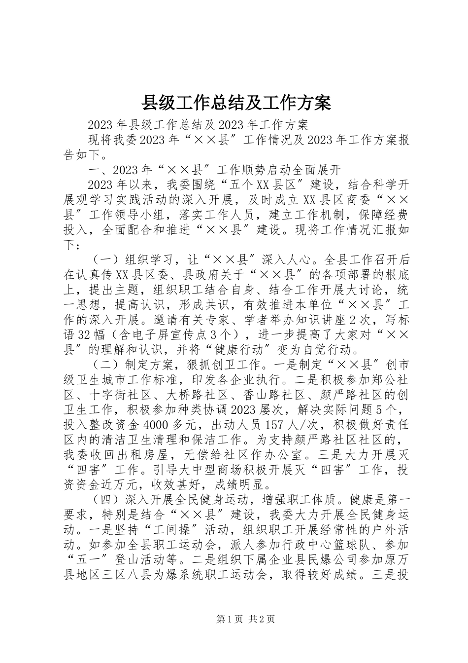 2023年县级工作总结及工作计划.docx_第1页