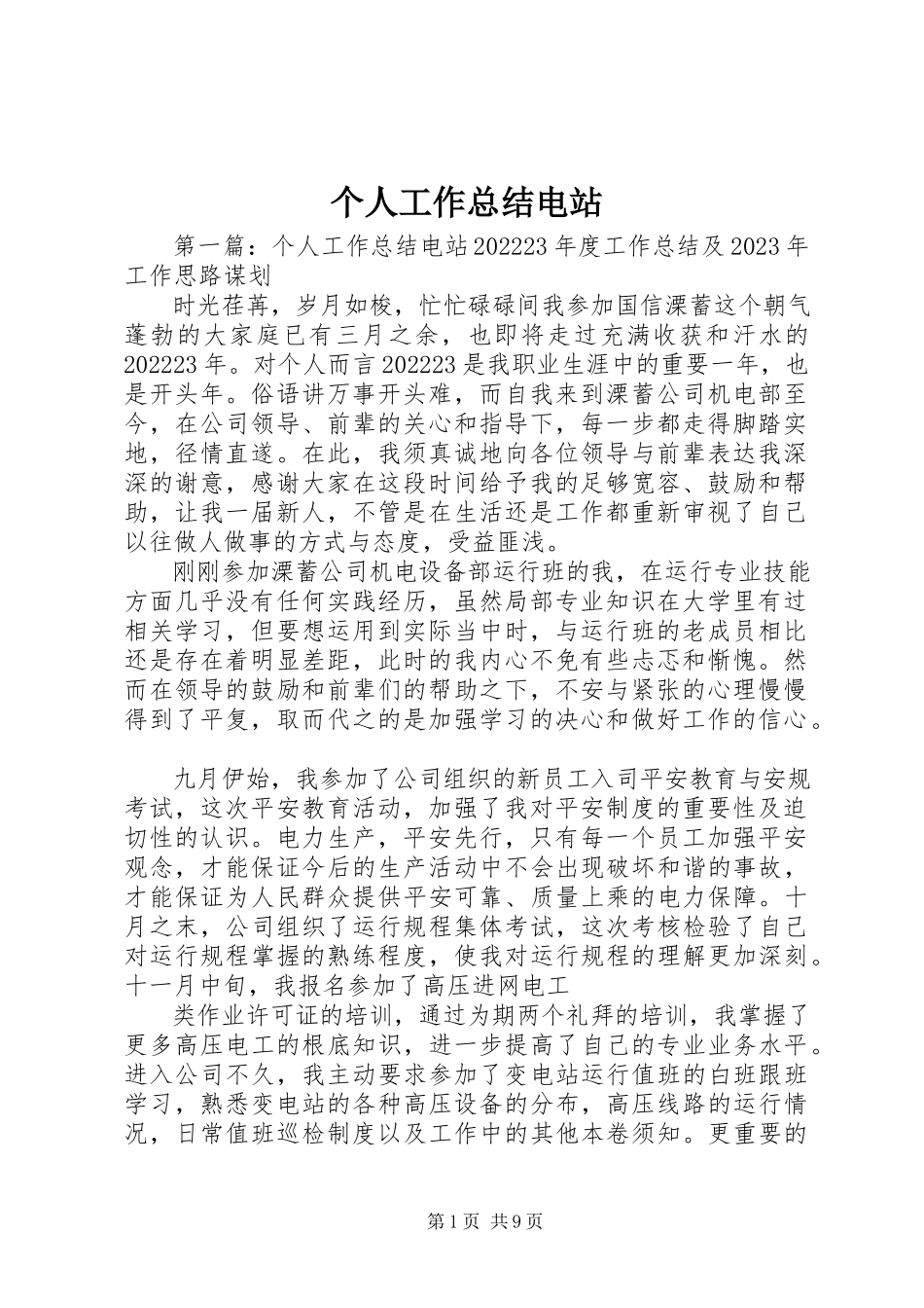 2023年个人工作总结电站.docx_第1页