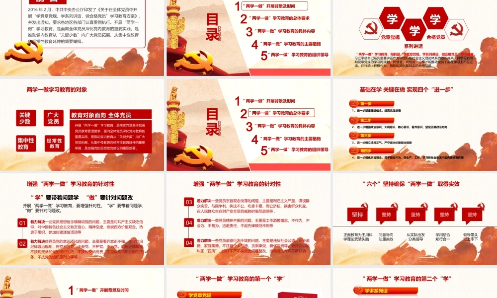 党建党政PPT (028).pptx