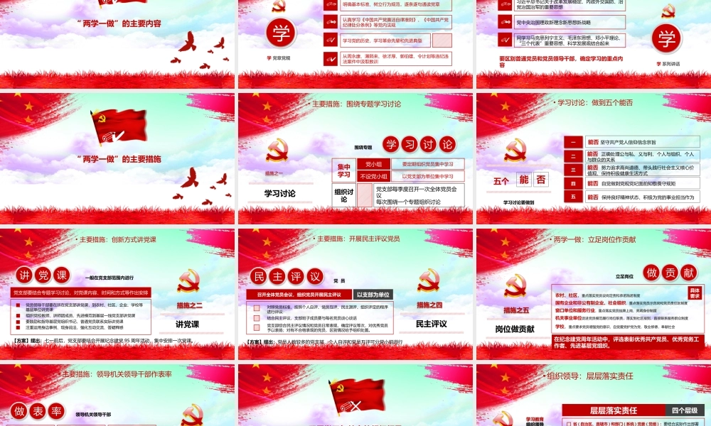 党建党政PPT (065).pptx