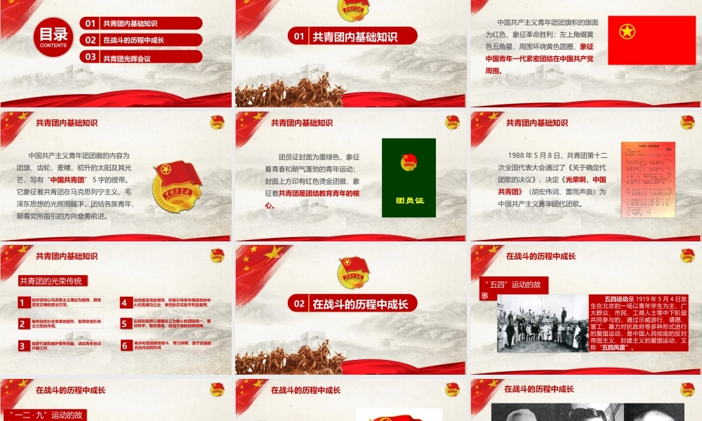 党建党政PPT (289).pptx