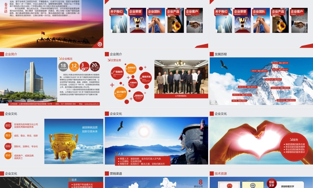 企业简介 (9).pptx