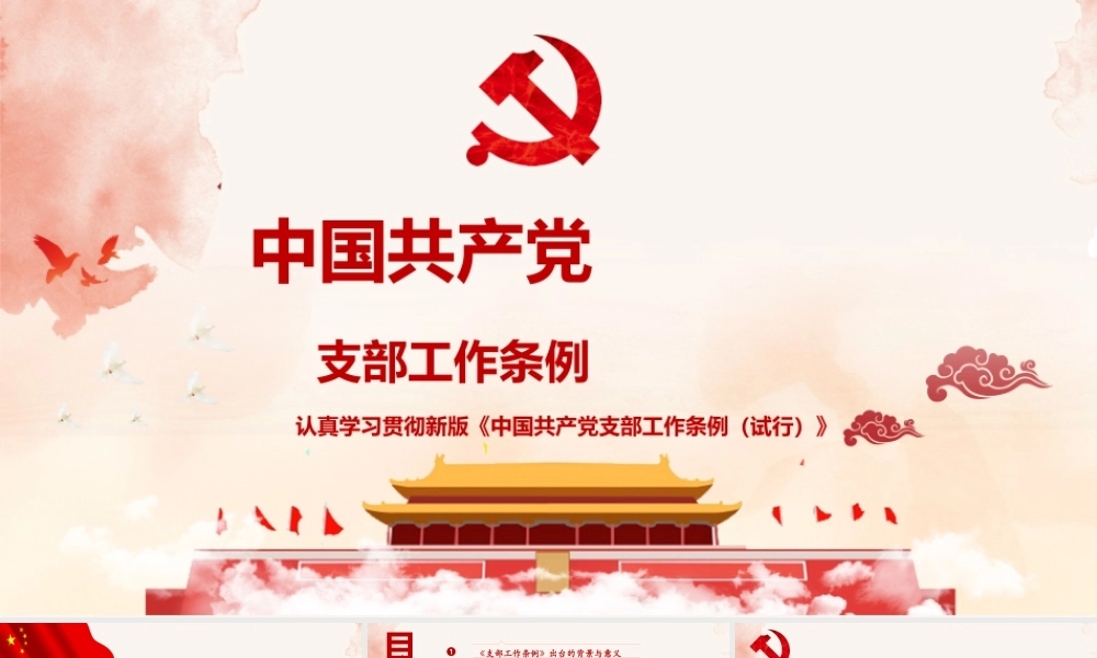 支部工作条例学习(8).pptx