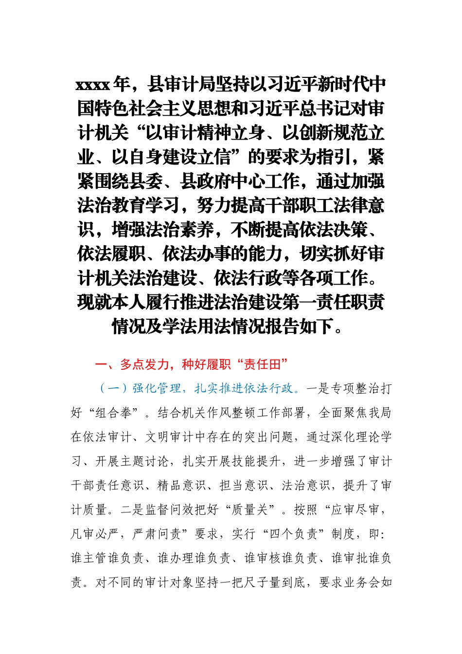 审计局局长2020年度述法报告.docx_第1页