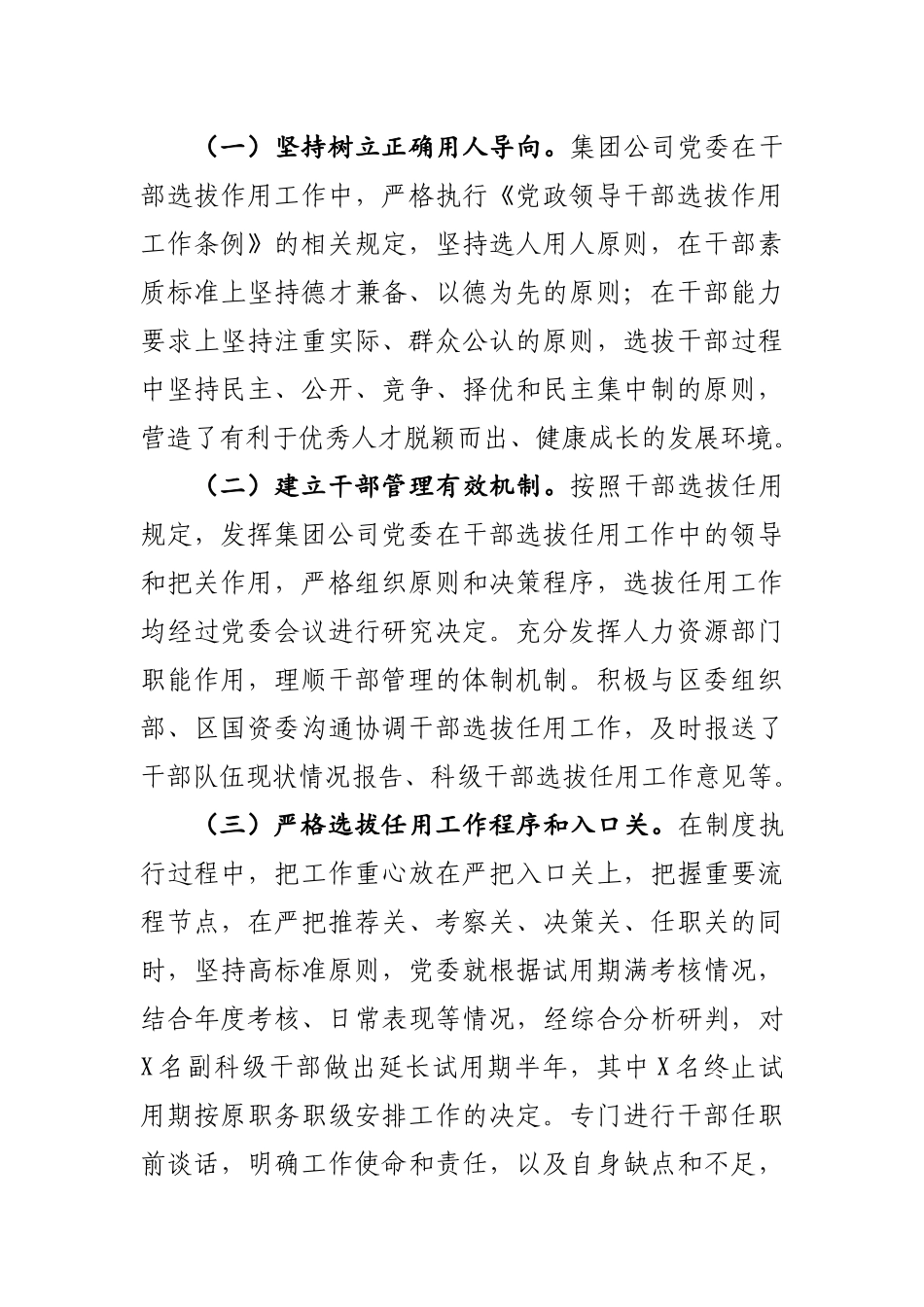 选人用人专项报告.docx_第2页