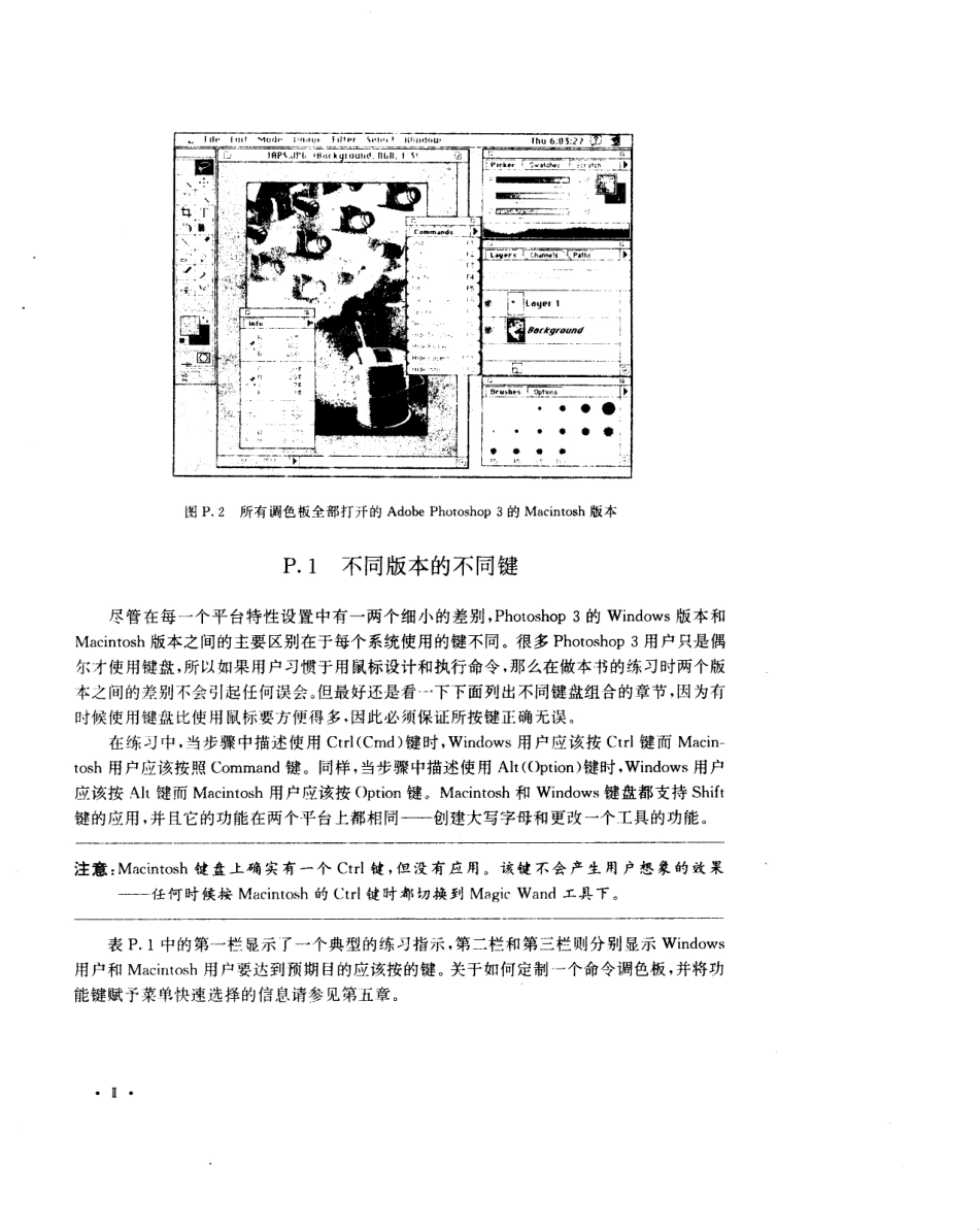 PHOTOSHOP 从入门到精通_.pdf_第2页