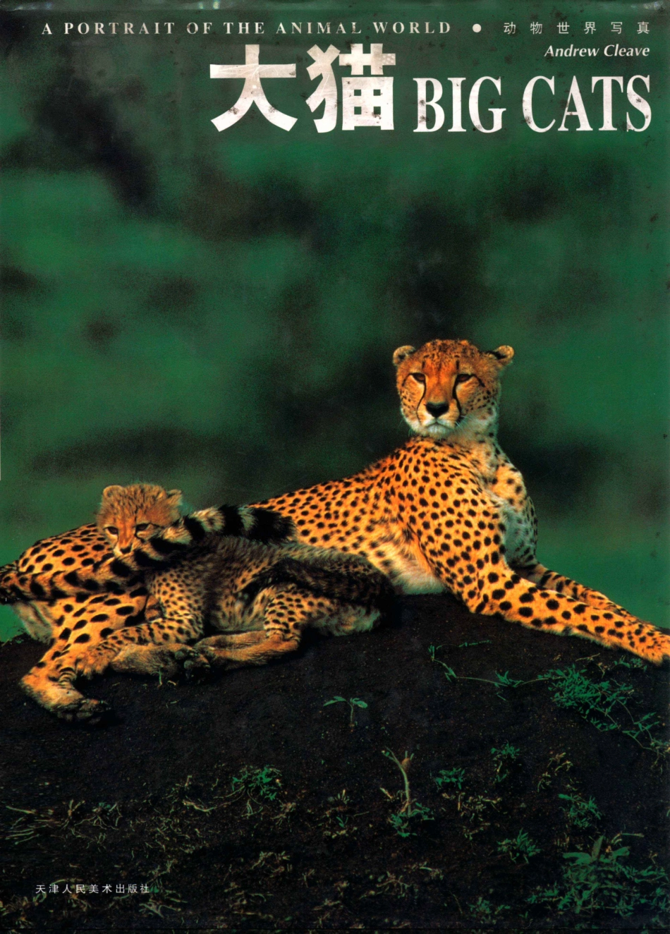 大猫_（美）（A.克利夫）Andrew Cleave著.pdf_第1页