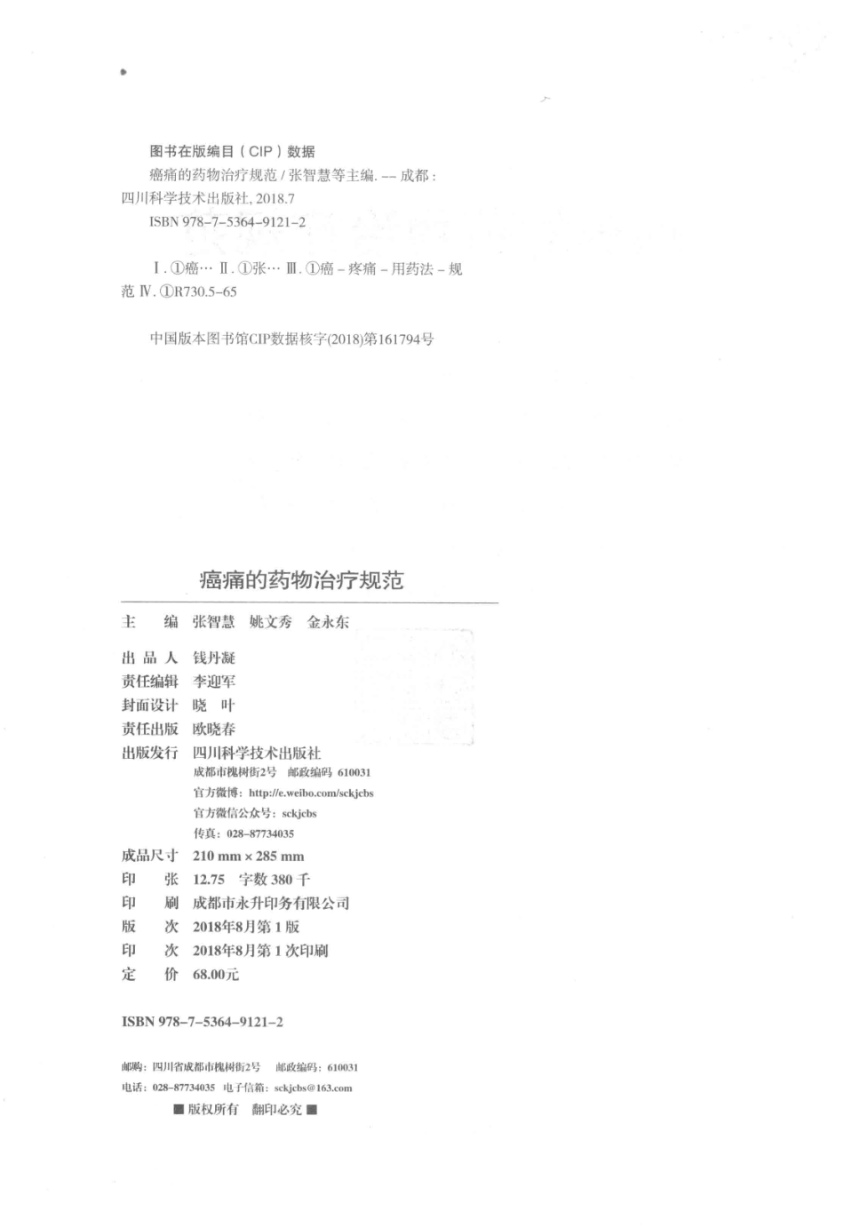 癌痛的药物治疗规范_张智慧姚文秀金永东主编.pdf_第3页