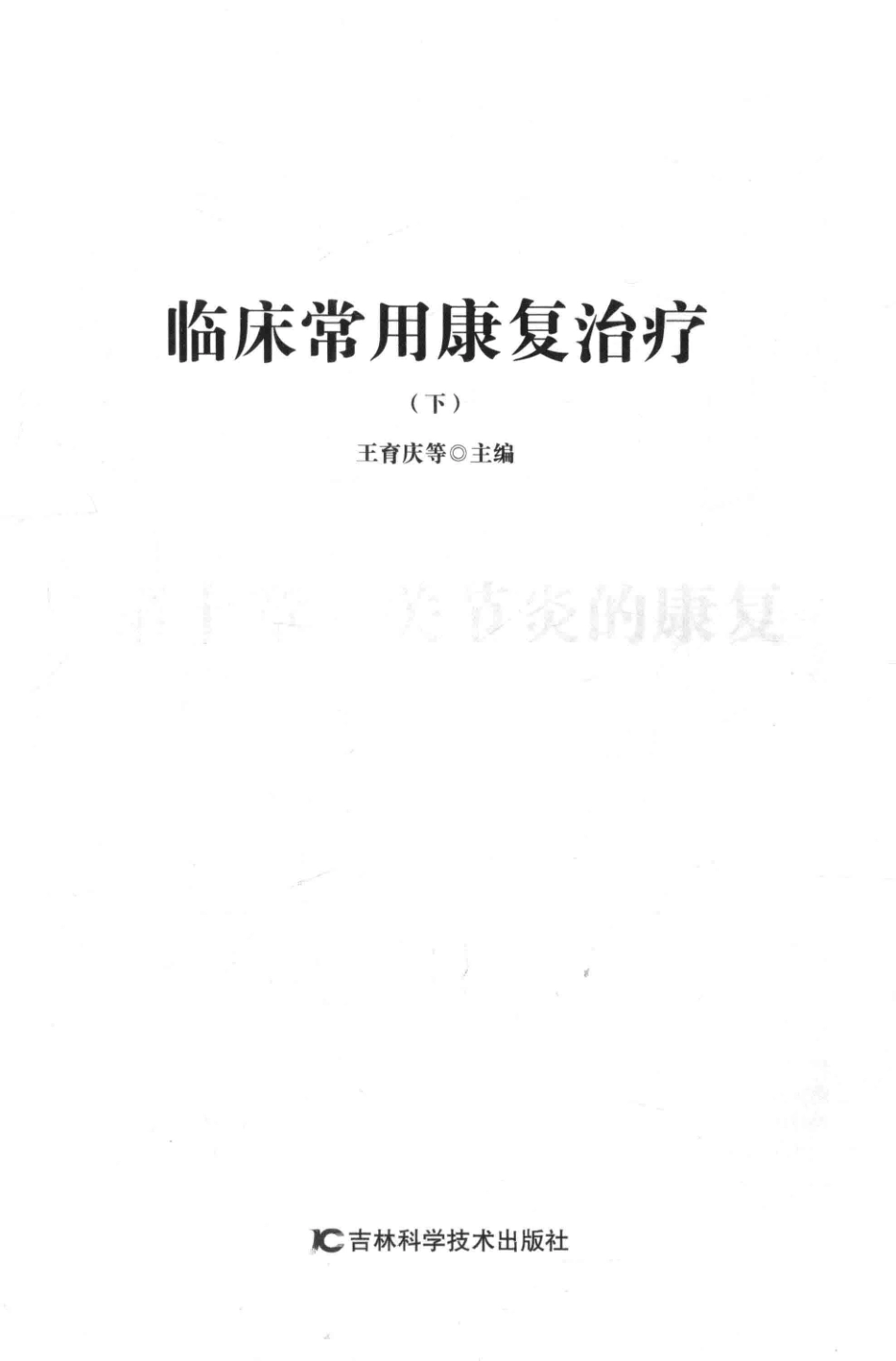 临床常用康复治疗下第2版_王育庆等主编.pdf_第2页